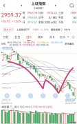 大盘价值ETF华夏 ： 华夏国证大盘价值交易型开放